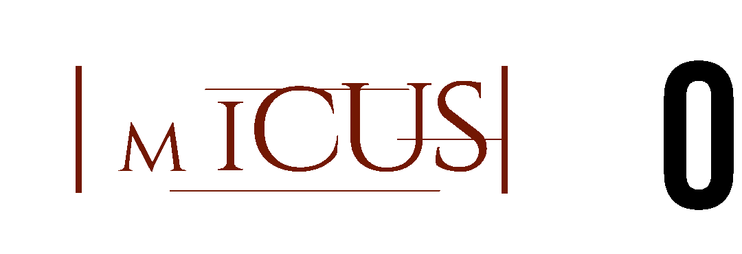 Amicus — Raising the Bar Since 2004 — 22 Years